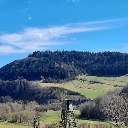 Modrasowka, Swierkowe Przysiolki W Gorach Sowich