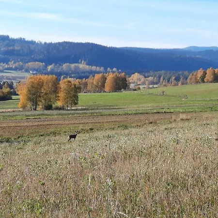 Modrasowka, Swierkowe Przysiolki W Gorach Sowich Country house Sosnina